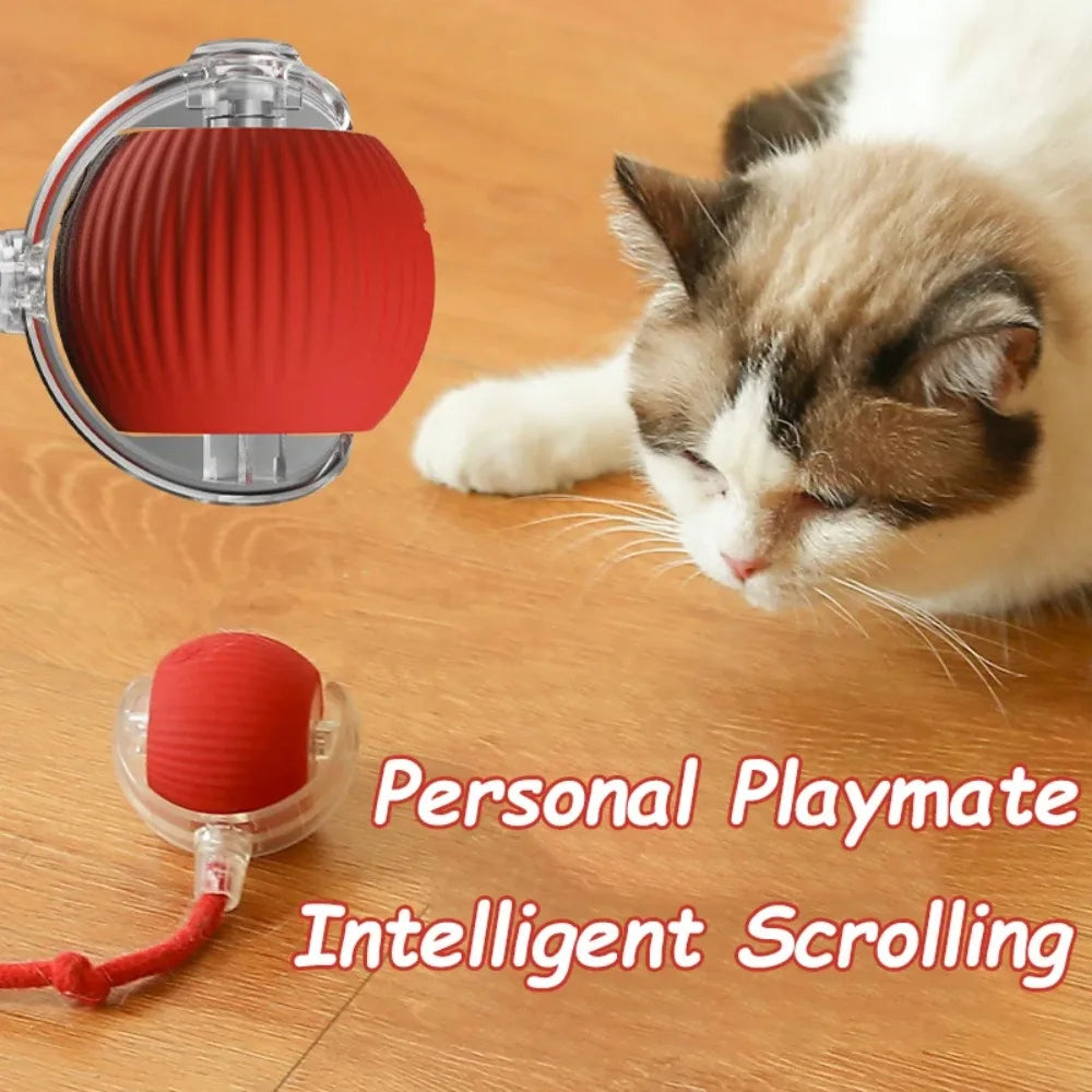 Rechargeable Smart Cat Toy – Automatic Rolling Ball with Faux Tail Mouse Imitation for Cats & Dogs