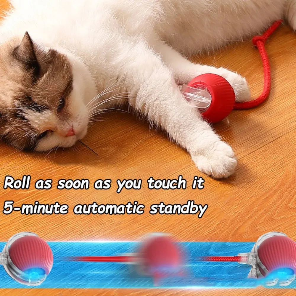 Rechargeable Smart Cat Toy – Automatic Rolling Ball with Faux Tail Mouse Imitation for Cats & Dogs