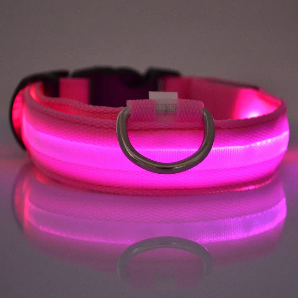 Dog Collar Nylon LED Night Safety Flashing Glow In The Dark Pet Dog Leash pet Dogs Luminous Fluorescent  dog accessories collar