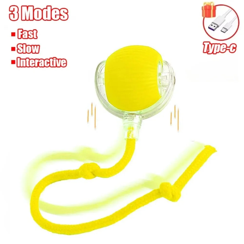 Rechargeable Smart Cat Toy – Automatic Rolling Ball with Faux Tail Mouse Imitation for Cats & Dogs